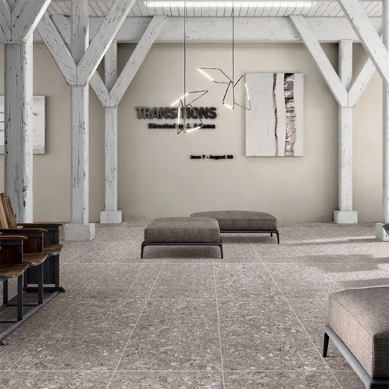 600X600mm, 450X900mm Mat et Anti